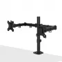 Lindy Dual Adjustable Display Mount, 8 kg, 33 cm (13 colli), 81.3 cm (32 colli), 75 x 75 mm, 100 x 100 mm, Melns