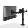 Lindy Dual Adjustable Display Mount, 8 kg, 33 cm (13 colli), 81.3 cm (32 colli), 75 x 75 mm, 100 x 100 mm, Melns