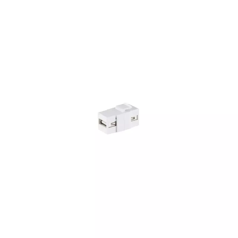 Keystone modulis ShiverPeaks S/CONN 08-10043 Plakans Balts USB A