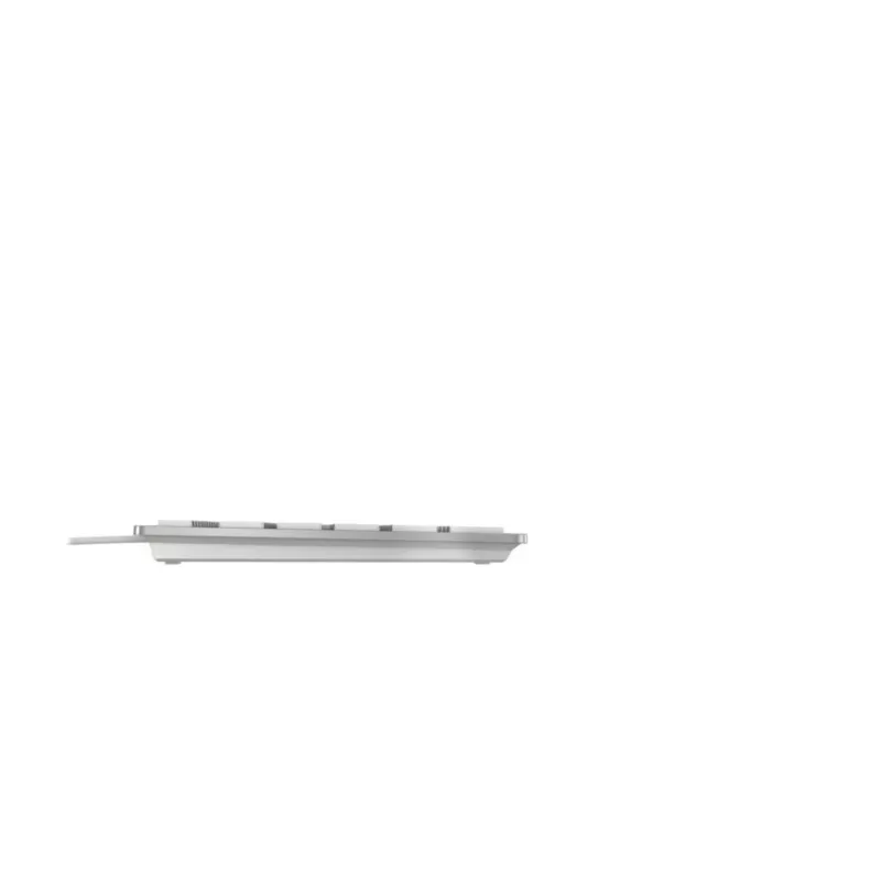 Cherry KC 6000C FOR MAC vadu USB QWERTY klaviatūra ar šķērsslēdžiem, sudraba, 1.8 m