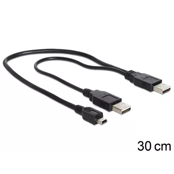 USB Y-kabelis DeLOCK 83178 USB 2.0 0.3 m 2 x USB A Melns