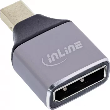 InLine 17291C pārveidotājs DisplayPort ligzda uz Mini DisplayPort spraudni, pelēks, melns