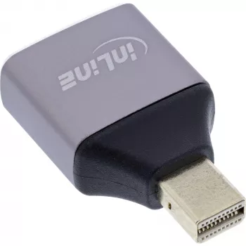 InLine 17291C pārveidotājs DisplayPort ligzda uz Mini DisplayPort spraudni, pelēks, melns