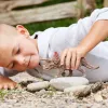 Schleich Dinozauri Triceratops