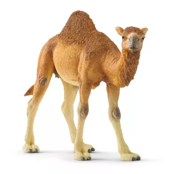 Schleich WILD LIFE Dromedārs