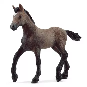schleich HORSE CLUB Peruvian Paso Kumeļš, 5 gadi, Zirgi, Brūns, Plastmasa