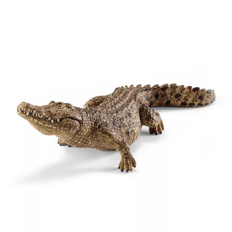 Schleich WILD LIFE Krokodils, 3+ gadi, Safari, Savvaļas dzīvnieki, Daudzkrāsains, Plastmasa, 1 gab.