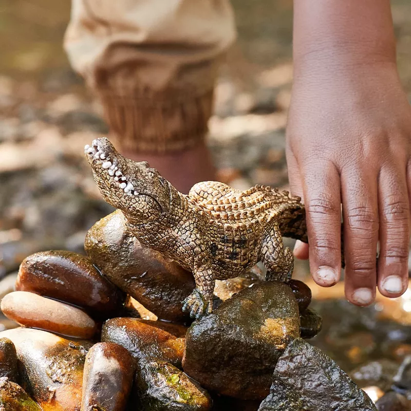 Schleich WILD LIFE Krokodils, 3+ gadi, Safari, Savvaļas dzīvnieki, Daudzkrāsains, Plastmasa, 1 gab.