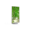 Sharp MultiSync EA272U datora monitors 68.6 cm (27 colli) 3840 x 2160 4K Ultra HD LCD balts
