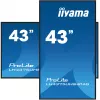 iiyama 43W LCD 4K signage panel 43 collas