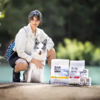 Slapjā kucēnu barība VETEXPERT RAW PALEO Puppy Monoprotein Menca 400 g, bezgraudu, junioriem, konservs