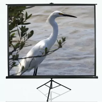 Statīva projekcijas ekrāns Elite Screens T100UWV1 2.54 m (100 collas) 4:3