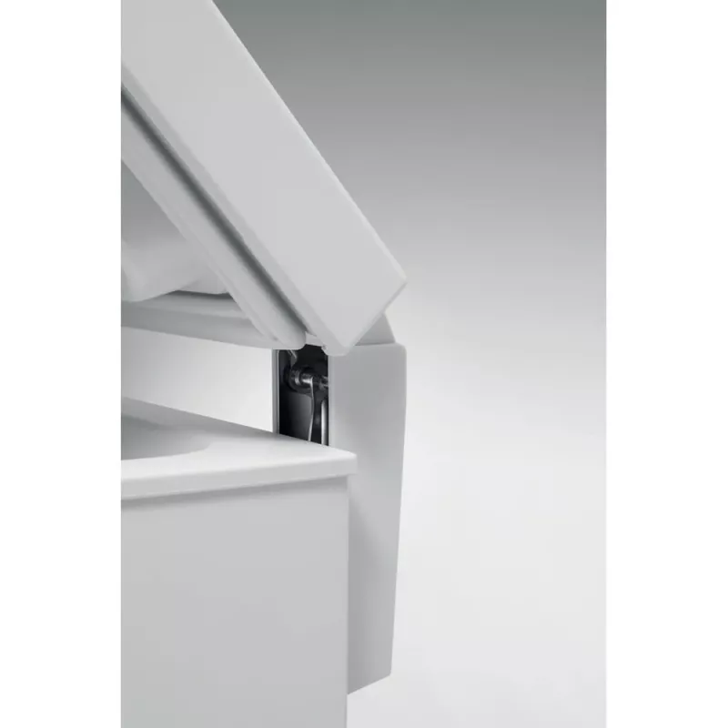 Saldētava Whirlpool WHE 4602, 437 L, balta