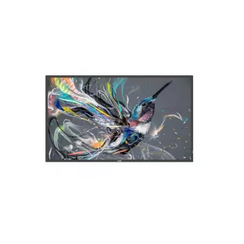 Philips Q-Line 55BDL3511Q/00 55 collu 4K Ultra HD IPS digitālo izkārtņu panelis