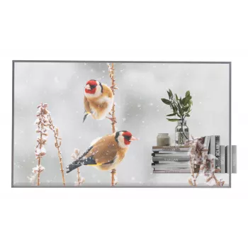 LG 55EW5P-M Signage Displejs 139.7 cm (55 collu) OLED 600 cd/m² Full HD Sudraba Skārienekrāns 18/7