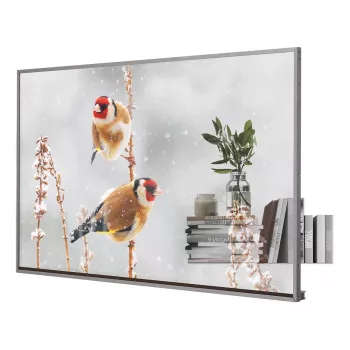 LG 55EW5P-M Signage Displejs 139.7 cm (55 collu) OLED 600 cd/m² Full HD Sudraba Skārienekrāns 18/7