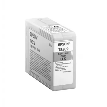 Epson Singlepack Light Light Black T850900, gaiši gaiši melna, pigmenta tinte, 80 ml, 1 gab.