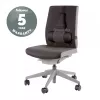 Fellowes muguras balsts biroja krēslam - Professional Series Ultimate ar antibakteriālu aizsardzību - H36,5 x P37,5 x D5,5 cm