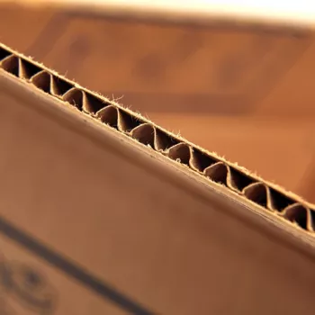 Fellowes 6203601 Uzglabāšanas kaste Taisnstūra Kartons Dabīgs