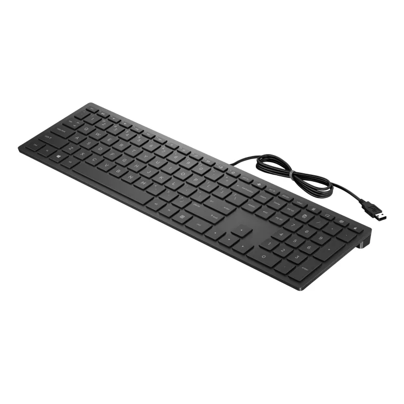 HP Pavilion Wired Keyboard 300, pilna izmēra (100%), vadu, USB, mehāniska, melna