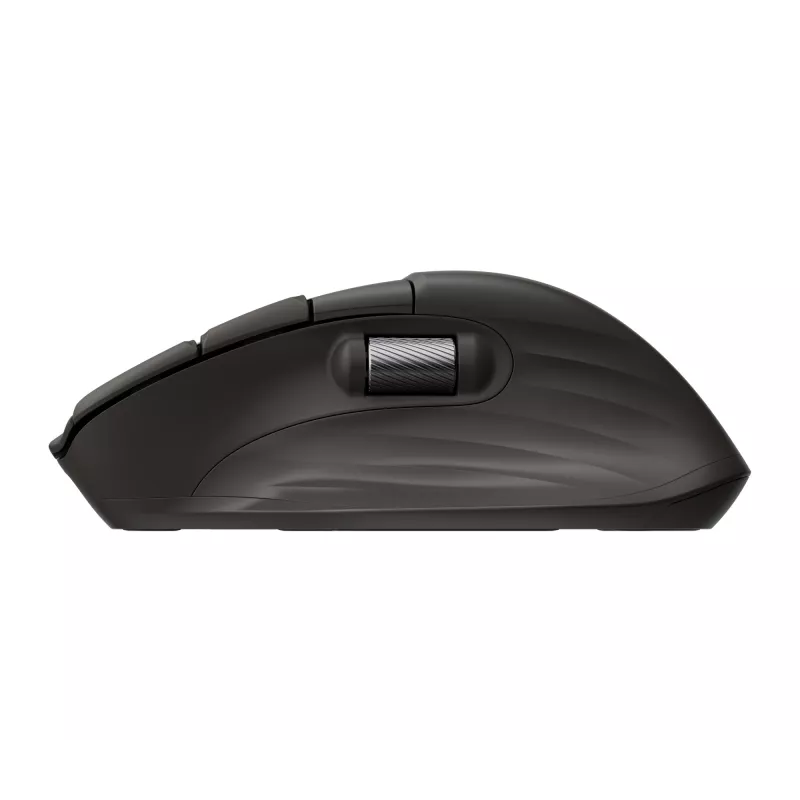 HP B8YX3AA vadu optiskā pele, kompakta