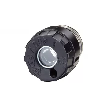 Siemens 5SH4163 NEOZED skrūvējams vāciņš, D02, 63 A