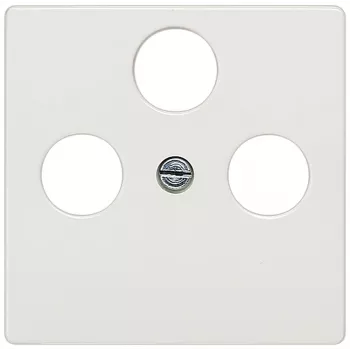 Siemens 5TG2548-2 sienas plāksne / slēdža rāmis