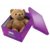 Leitz Click & Store WOW vidēja izmēra uzglabāšanas kaste, violeta, kartons, 16.7 L, 281 mm, 200 mm, 265 x 335 x 188 mm