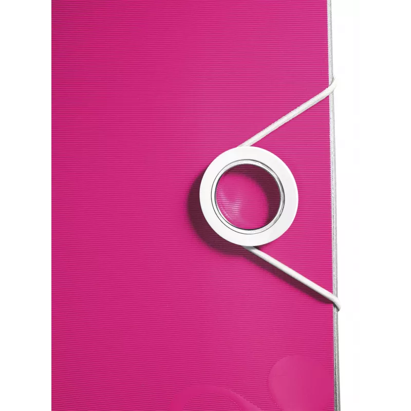 Leitz Lever Arch File Active PP WOW A4/80mm, A4, Polifoams, Rozā, 500 lapas, 80 g/m², 8.2 cm