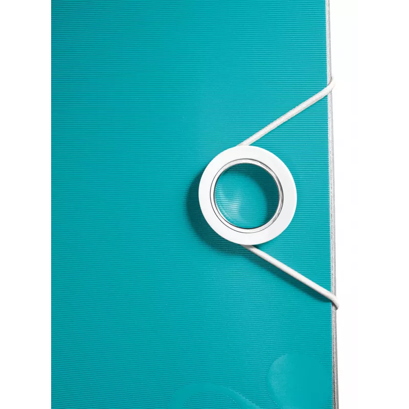 Leitz Lever Arch File Active PP WOW A4/80mm, A4, Polifoams, Tirkīza, 500 lapas, 80 g/m², 8.2 cm