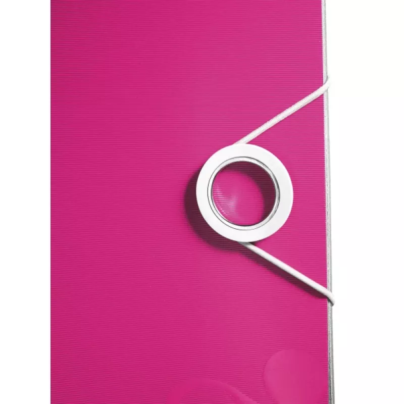 Leitz Lever Arch File Active PP WOW A4/65mm, A4, poliuretāna putas, Roze, 350 lapas, 80 g/m², 6.5 cm