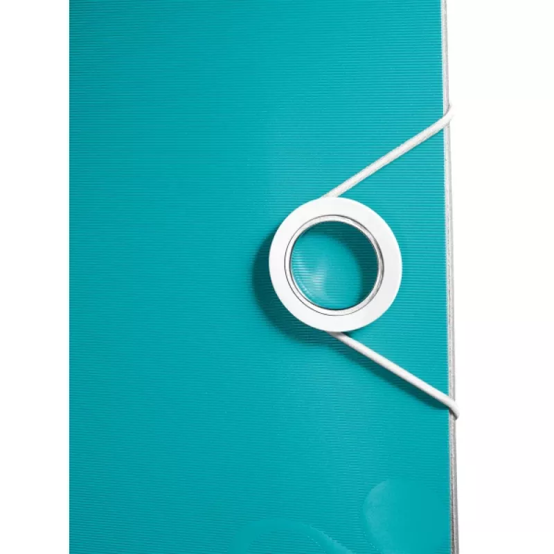 Leitz Lever Arch File Active PP WOW A4/65mm, zils, 350 loksnes