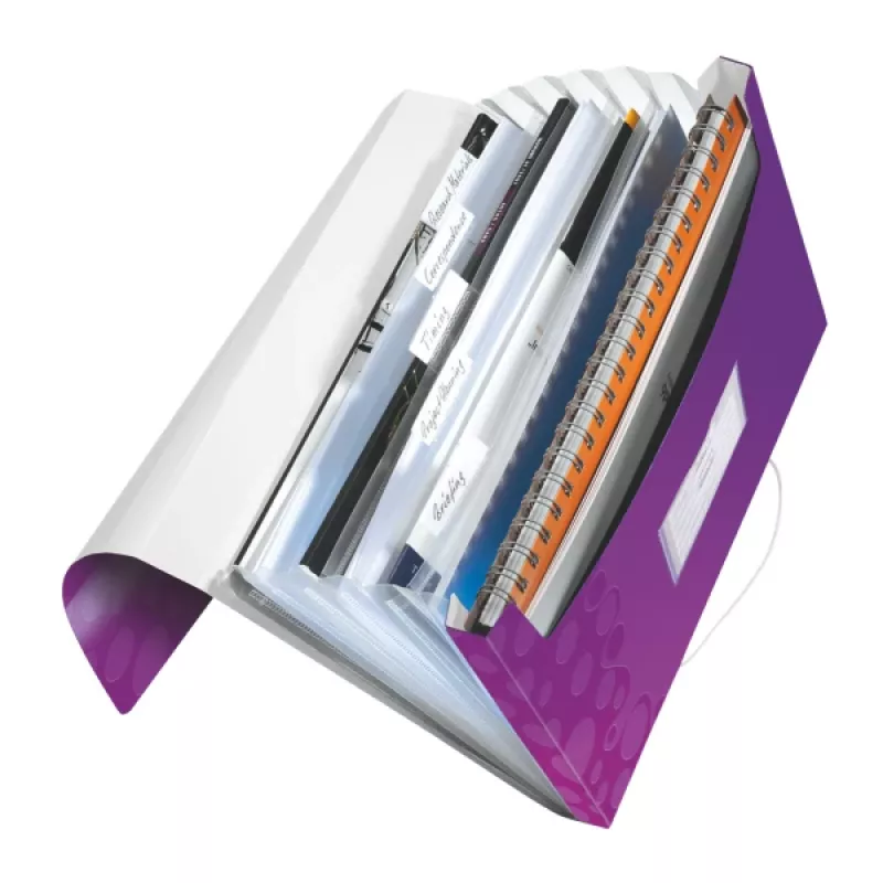 Leitz Project File WOW PP, A4, polipropilēns, violets, 200 loksnes, 254 mm, 38 mm