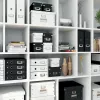 Leitz Click & Store WOW Lielā Uzglabāšanas Kaste, Zaļa, Kartons, 369 mm, 482 mm, 200 mm