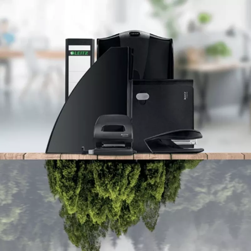 Leitz Recycle atkritumu grozs, 290 mm, 290 mm, 324 mm, 350 g