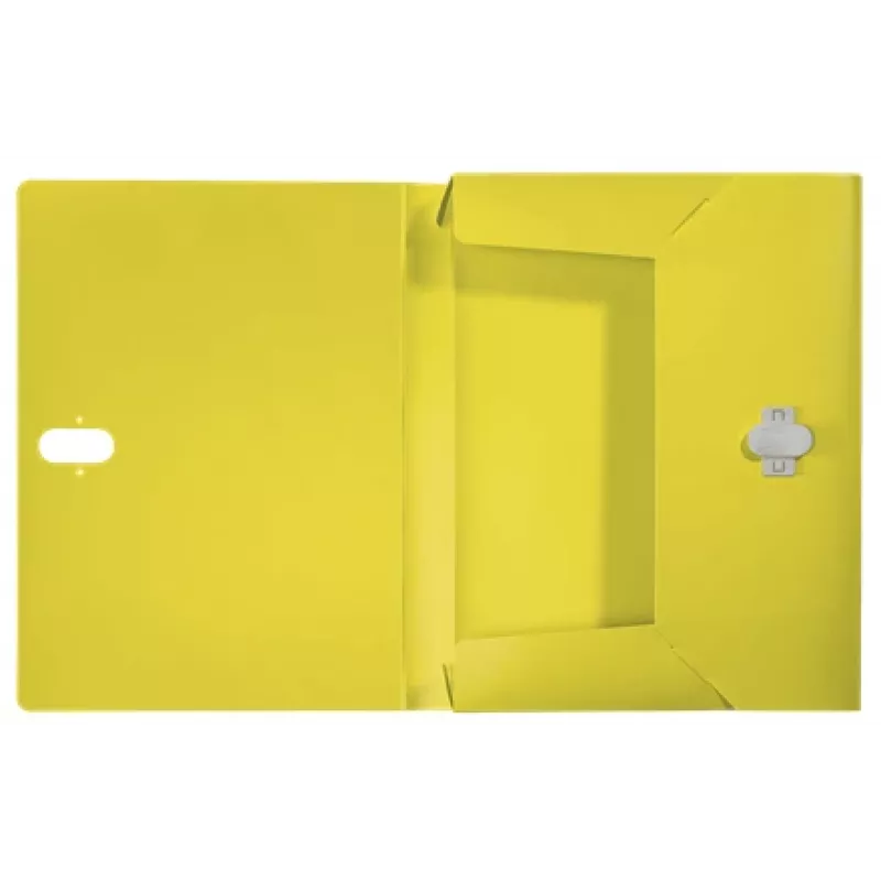 Leitz Recycle Box File, A4, polipropilēns, dzeltens, ainava/portrets, 250 lapas