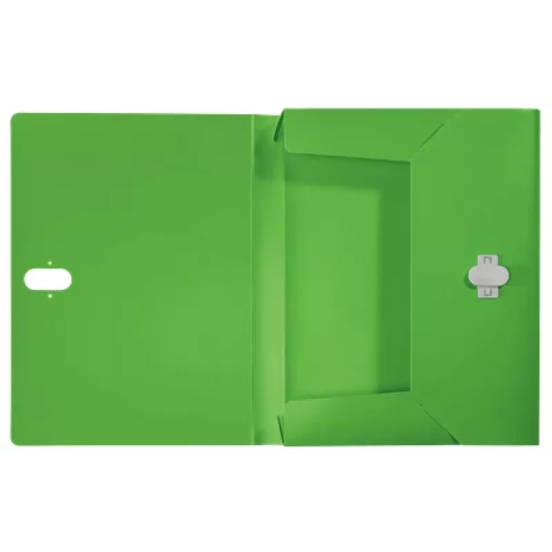 Leitz Recycle Box File, A4 mape, polipropilēns (PP), zaļa, ainavas/portreta režīms, 250 lapām