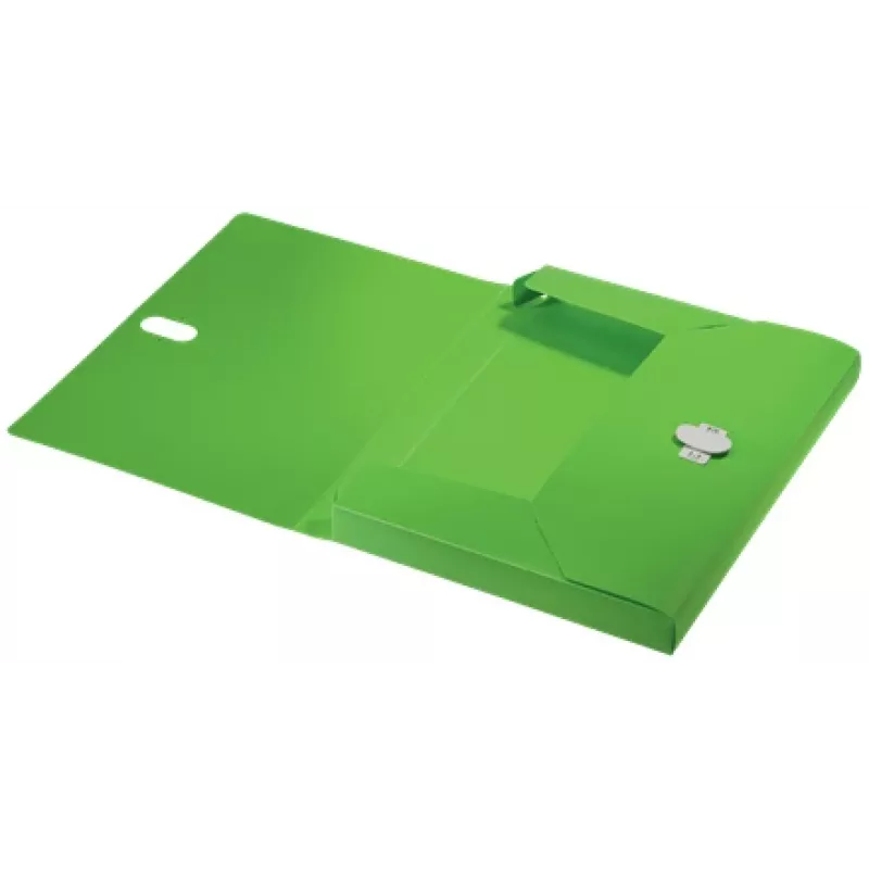 Leitz Recycle Box File, A4 mape, polipropilēns (PP), zaļa, ainavas/portreta režīms, 250 lapām