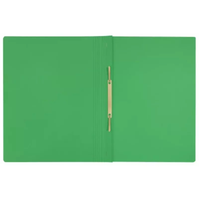 Leitz Recycle Card Flat File, klasiskā mapīte, A4, kartons, zaļa, horizontāli/vertikāli, 250 loksnes
