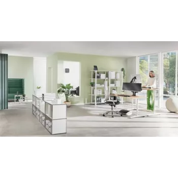 Leitz Ergo regulējams monitora statīvs, brīvi stāvošs, 68,6 cm (27 collas), augstuma regulēšana, pelēks