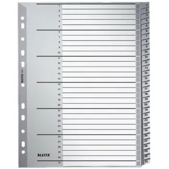 Leitz 12810000 ciparu tab indekss kartons pelēks