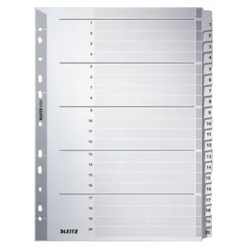 Leitz 43260000 ciparu starplapa, kartons, pelēka