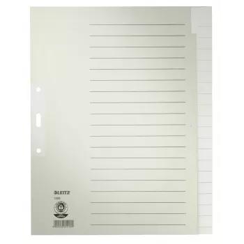 Leitz 12200085 tukšs cilnes indekss, papīrs, pelēks