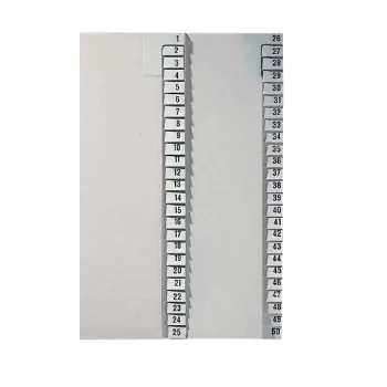 Leitz 13810085 ciparu dalītājlapiņas, pelēks, A4