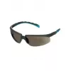 Aizsargbrilles 3M S2002SGAF-BGR, zili/pelēkas, 20 gab.