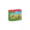 Schleich Pony Agility Training komplekts