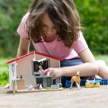 Schleich Veterinārā prakse ar mājdzīvniekiem, Saimniecība, Lauku dzīvnieku rotaļlietas, 3+ gadi, Daudzkrāsains