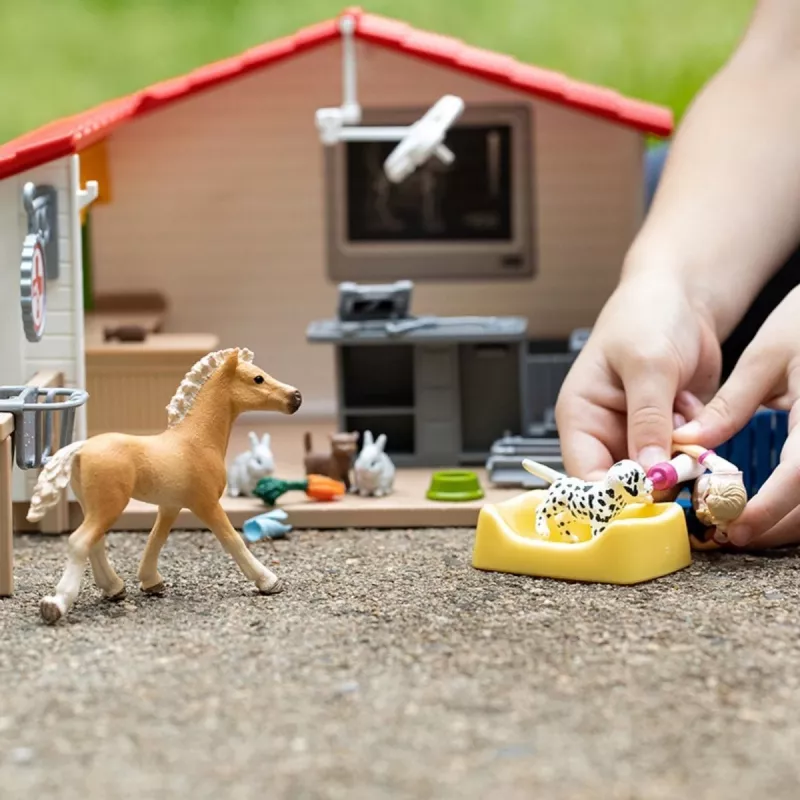 Schleich Veterinārā prakse ar mājdzīvniekiem, Saimniecība, Lauku dzīvnieku rotaļlietas, 3+ gadi, Daudzkrāsains