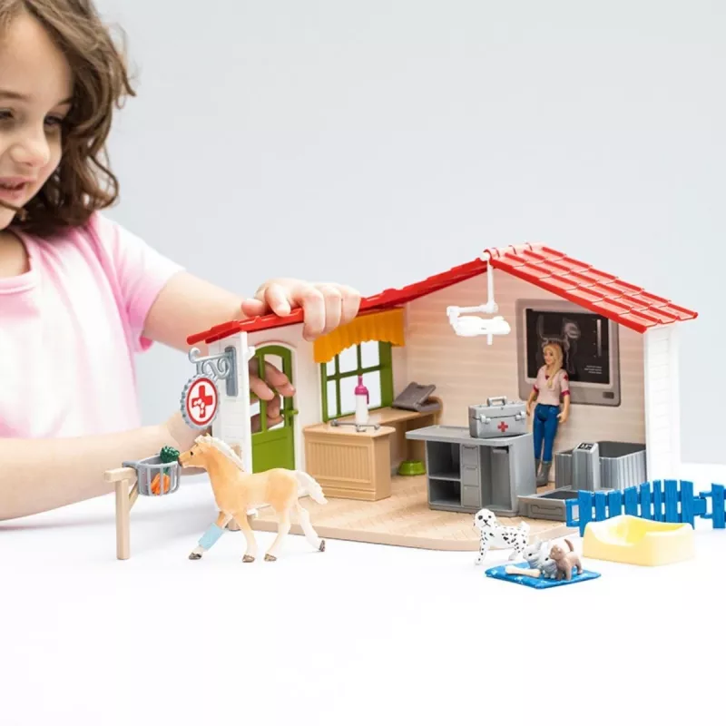 Schleich Veterinārā prakse ar mājdzīvniekiem, Saimniecība, Lauku dzīvnieku rotaļlietas, 3+ gadi, Daudzkrāsains