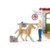 Schleich Veterinārā prakse ar mājdzīvniekiem, Saimniecība, Lauku dzīvnieku rotaļlietas, 3+ gadi, Daudzkrāsains